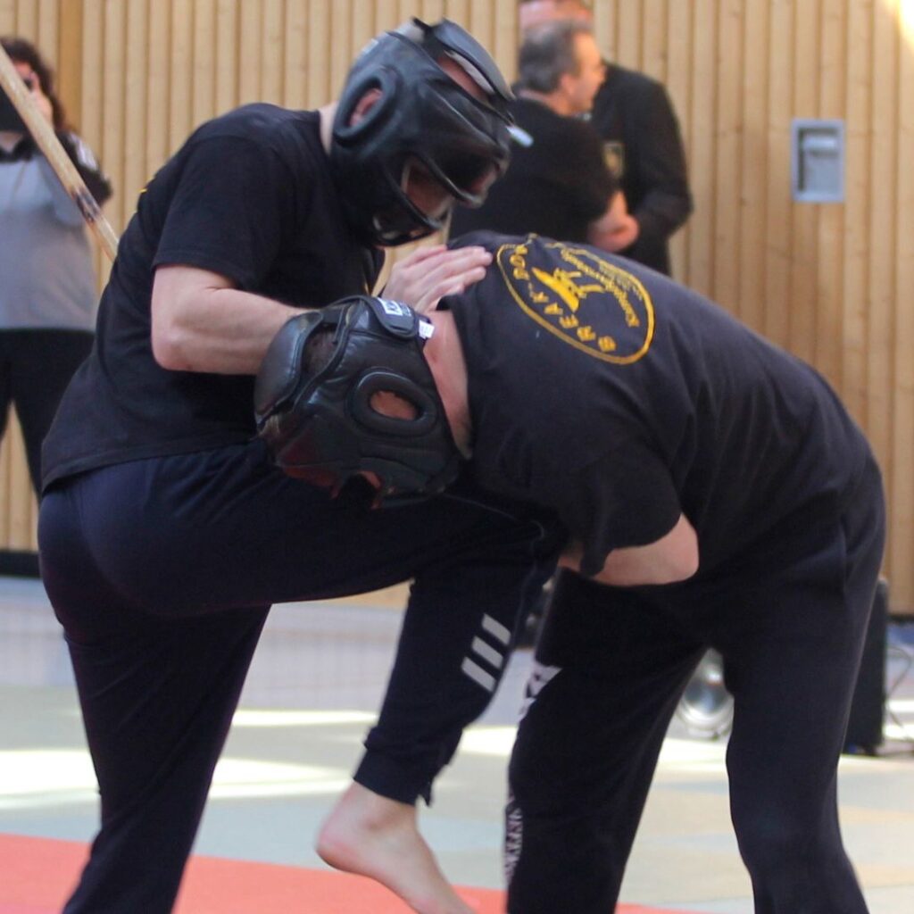 Krav Maga 2